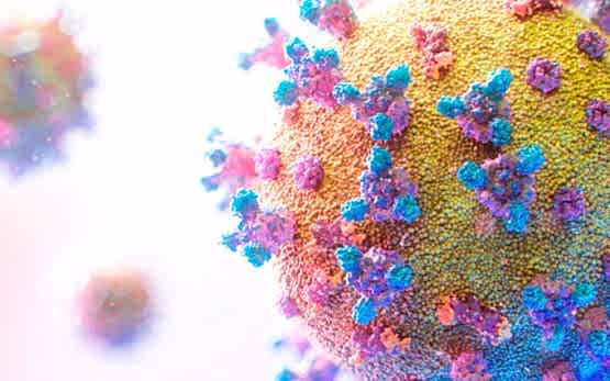 Koronavirus - simptomlar, əlamətlər, ümumi məlumat, suallara cavab